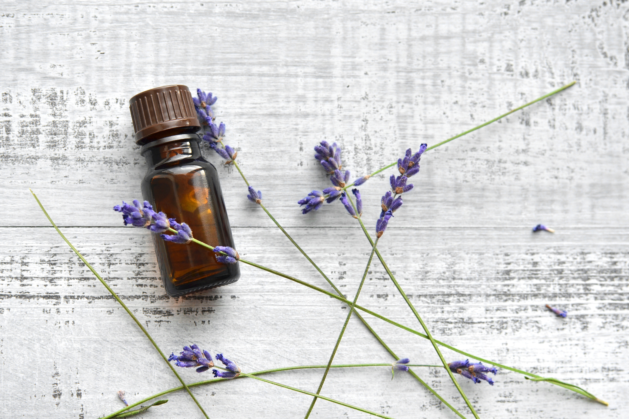 Lavender Essential Oil